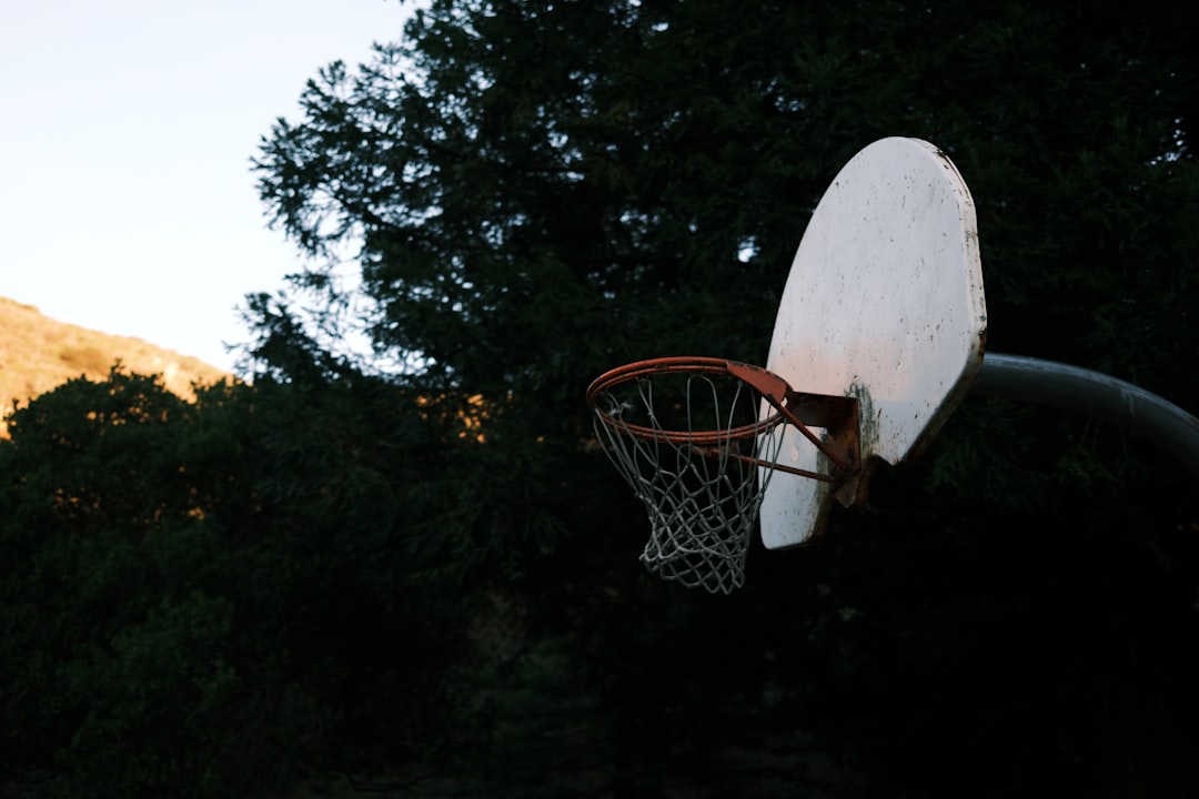 PeraBet En İyi Casino Uygulaması Samsun Giriş pic-1742.jpg